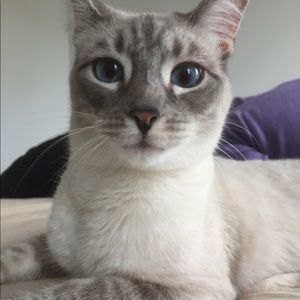 Meet your Posher, Kate